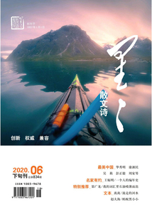 星星·散文詩（2020年第6期）