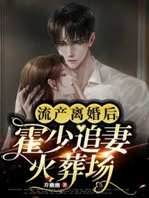 流产离婚后，霍少追妻火葬场 封面