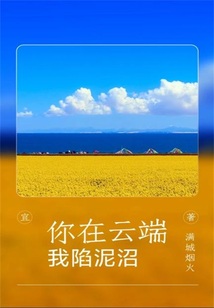 你在云端，我陷泥沼