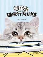 零压力猫咪行为训练在线阅读