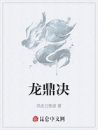 龙鼎决在线阅读