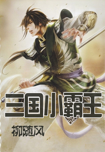 三國小霸王
