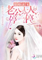 甜婚蜜宠：老公大人停一停