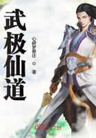 武极仙道在线阅读