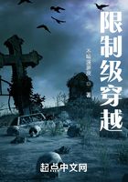 限制级穿越在线阅读