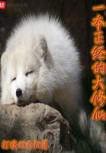 一本正經的大修仙