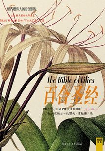 百合圣經(jīng)（大本精裝）