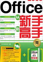 Office 2016从新手到高手