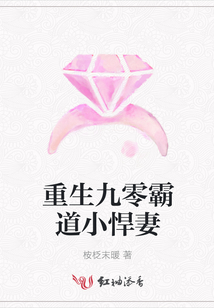 重生九零霸道小悍妻