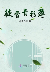 徒雪青衫薄