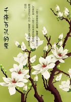 千瘡百孔的愛在線閱讀