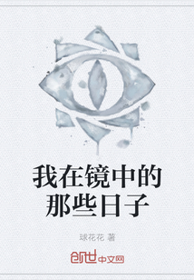 我在鏡中的那些日子