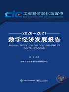 数字经济发展报告(2020—2021)