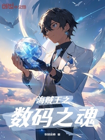 海賊王之?dāng)?shù)碼之魂