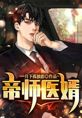 帝师医婿在线阅读