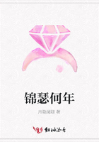 錦瑟何年在線閱讀