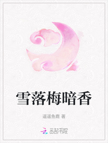 雪落梅暗香