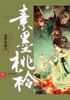 素墨桃衿在線閱讀
