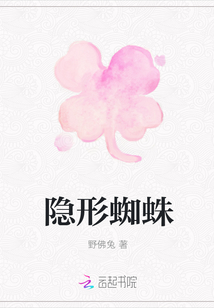 隐形蜘蛛