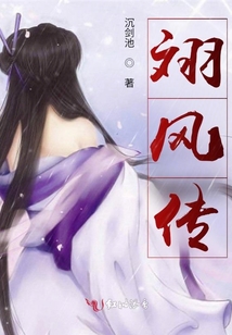 翊風(fēng)傳