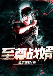 至尊戰婿