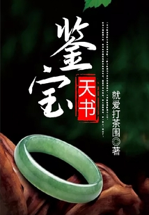 鑒寶天書