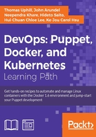 DevOps：Puppet，Docker，and Kubernetes在线阅读