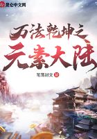 万法乾坤之元素大陆在线阅读