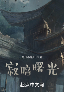 寂暗曙光