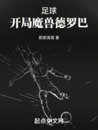 足球：開局魔獸德羅巴在線閱讀