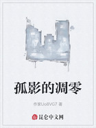 孤影的凋零在线阅读
