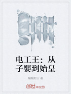电工王:从子婴到始皇在线阅读