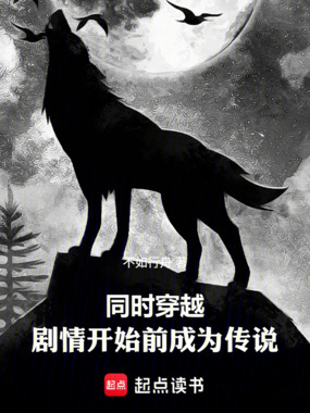 同时穿越：剧情开始前成为传说在线阅读