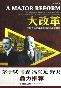 大改革：中國市場化改革的理論與現實取向