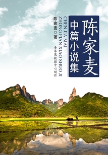 陳家麥中篇小說集