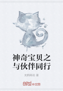 神奇寶貝之與伙伴同行