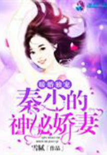 暖婚独宠:秦少的神秘娇妻
