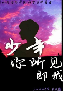 少年你所見即我