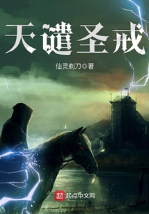 天譴圣戒