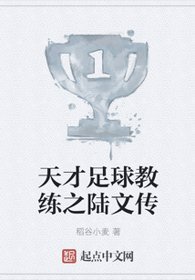 天才足球教練之陸文傳