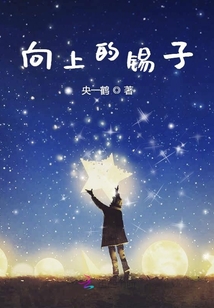 向上的錫子