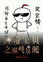 神奇寶貝之巔峰反派在線閱讀