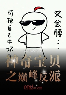 神奇寶貝之巔峰反派