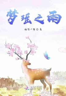 夢瑤之雨