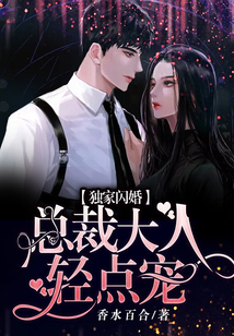 獨家閃婚：總裁大人輕點寵