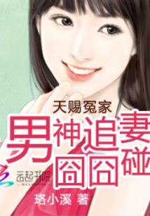 天賜冤家:男神追妻囧囧碰