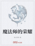 魔法师的荣耀