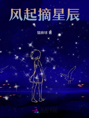 风起摘星辰在线阅读