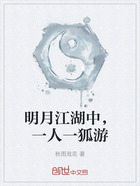 明月江湖中,一人一狐游在线阅读
