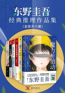 东野圭吾经典推理作品集（套装共6册）